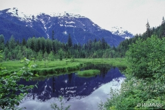 017-Canada-Alaska-Alaska-Hyder_Umgebung