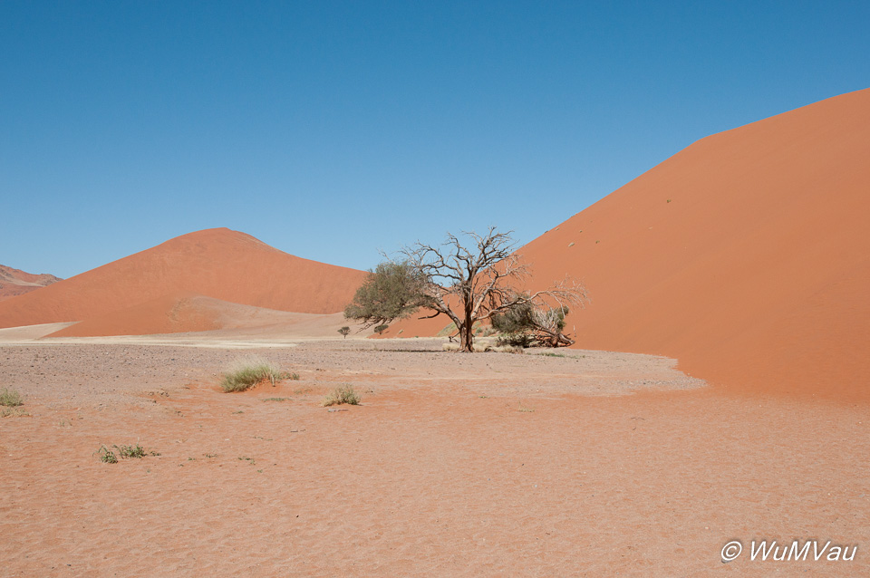 Namib nahe Soussusvlei