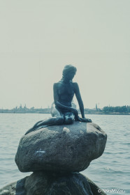 CyberViewX v5.16.50
Model Code=72
F/W Version=1.06