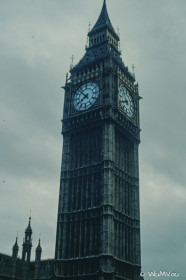 CyberViewX v5.16.50
Model Code=72
F/W Version=1.06