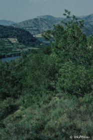 CyberViewX v5.16.50
Model Code=72
F/W Version=1.06