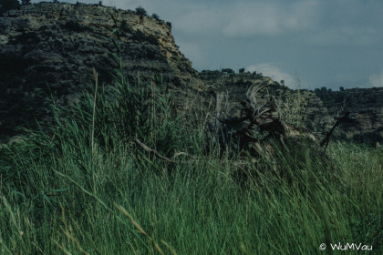 CyberViewX v5.16.50
Model Code=72
F/W Version=1.06