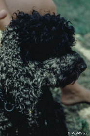 CyberViewX v5.16.50
Model Code=72
F/W Version=1.06