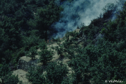 CyberViewX v5.16.50
Model Code=72
F/W Version=1.06