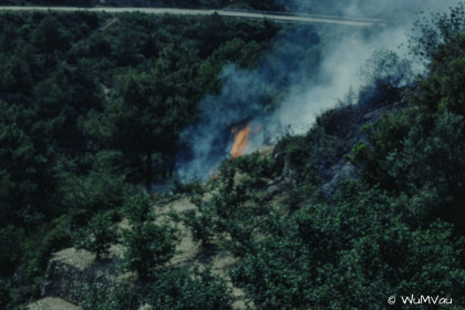 CyberViewX v5.16.50
Model Code=72
F/W Version=1.06