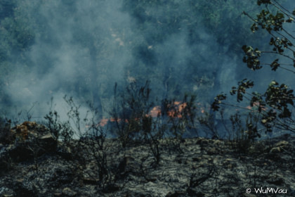 CyberViewX v5.16.50
Model Code=72
F/W Version=1.06