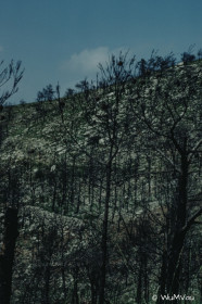 CyberViewX v5.16.50
Model Code=72
F/W Version=1.06