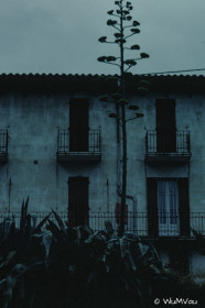 CyberViewX v5.16.50
Model Code=72
F/W Version=1.06