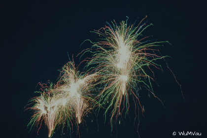 CyberViewX v5.16.50
Model Code=72
F/W Version=1.06