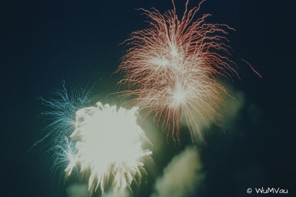 CyberViewX v5.16.50
Model Code=72
F/W Version=1.06