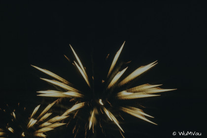 CyberViewX v5.16.50
Model Code=72
F/W Version=1.06