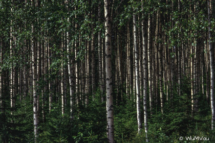 Finnland-Norwegen-1996-024