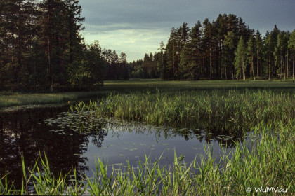 Finnland-Norwegen-1996-037