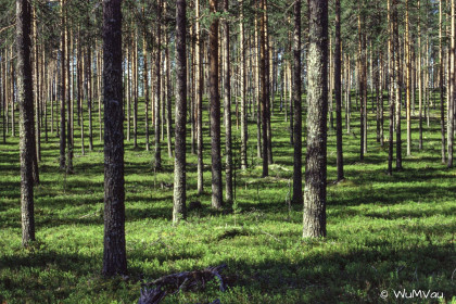 Finnland-Norwegen-1996-038