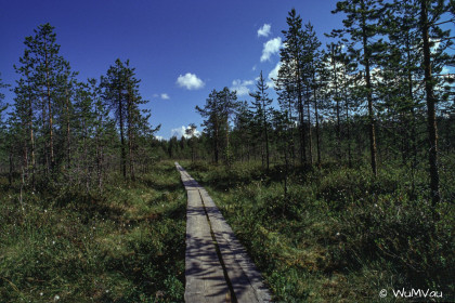 Finnland-Norwegen-1996-041
