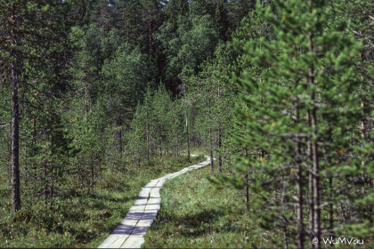 Finnland-Norwegen-1996-044