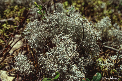 Finnland-Norwegen-1996-045