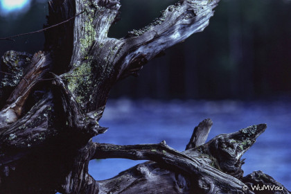 Finnland-Norwegen-1996-047