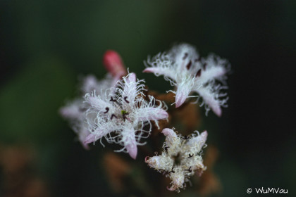 Finnland-Norwegen-1996-054