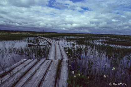 Finnland-Norwegen-1996-056