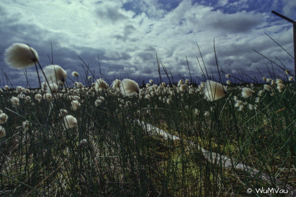 Finnland-Norwegen-1996-057