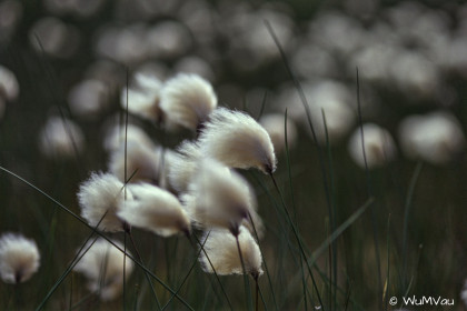 Finnland-Norwegen-1996-058