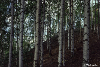 Finnland-Norwegen-1996-061