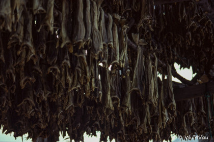 Finnland-Norwegen-1996-083