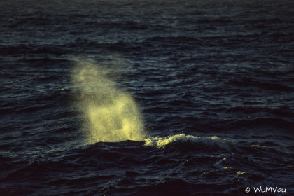 Finnland-Norwegen-1996-100