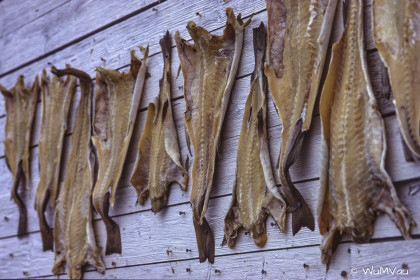 Finnland-Norwegen-1996-109