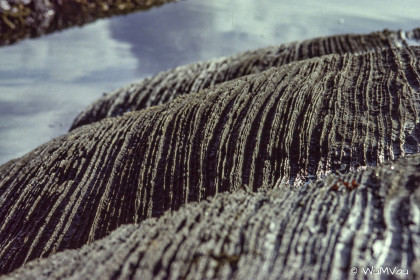 Finnland-Norwegen-1996-113