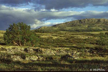 Finnland-Norwegen-1996-126