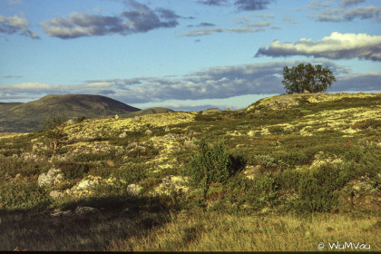 Finnland-Norwegen-1996-127