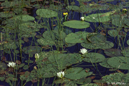 Finnland-Norwegen-1996-132