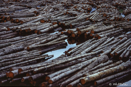 Finnland-Norwegen-1996-147