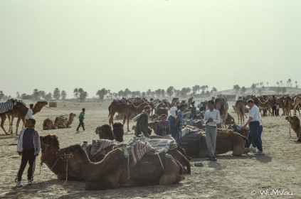 CyberViewX v5.16.55
Model Code=72
F/W Version=1.07