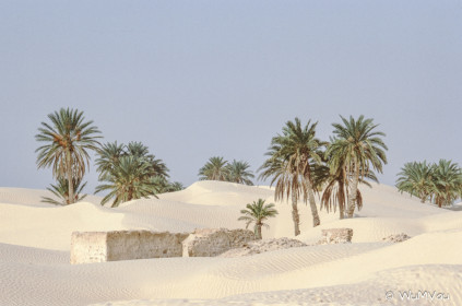 CyberViewX v5.16.55
Model Code=72
F/W Version=1.07