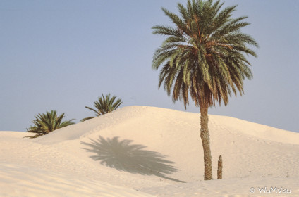 CyberViewX v5.16.55
Model Code=72
F/W Version=1.07