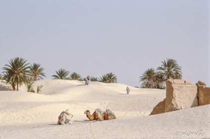 CyberViewX v5.16.55
Model Code=72
F/W Version=1.07