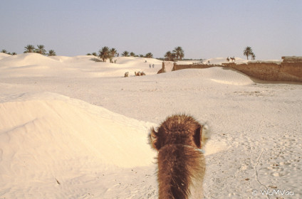 CyberViewX v5.16.55
Model Code=72
F/W Version=1.07