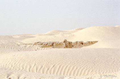 CyberViewX v5.16.55
Model Code=72
F/W Version=1.07