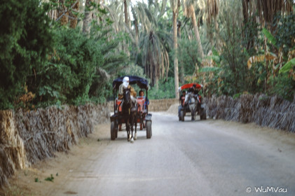 CyberViewX v5.16.55
Model Code=72
F/W Version=1.07