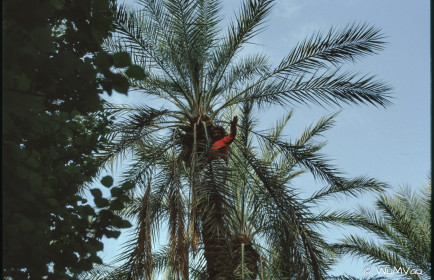 CyberViewX v5.16.55
Model Code=72
F/W Version=1.07