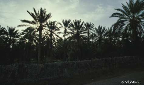 CyberViewX v5.16.55
Model Code=72
F/W Version=1.07