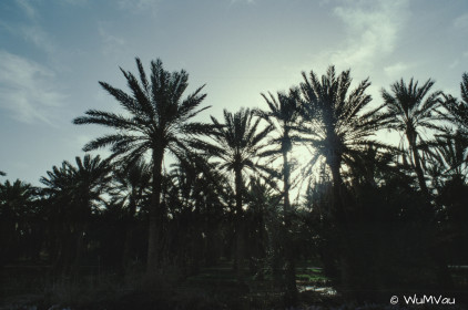 CyberViewX v5.16.55
Model Code=72
F/W Version=1.07