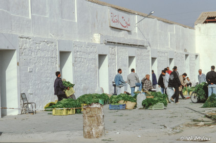 CyberViewX v5.16.55
Model Code=72
F/W Version=1.07