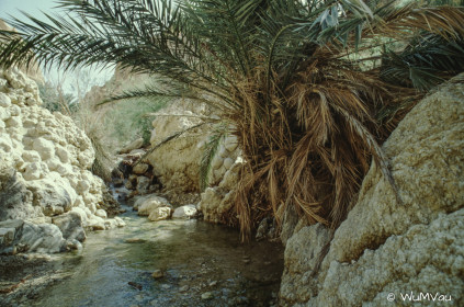 CyberViewX v5.16.55
Model Code=72
F/W Version=1.07