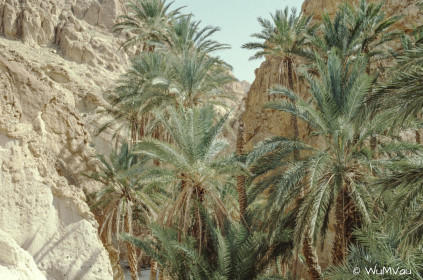 CyberViewX v5.16.55
Model Code=72
F/W Version=1.07