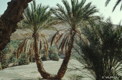 CyberViewX v5.16.55
Model Code=72
F/W Version=1.07