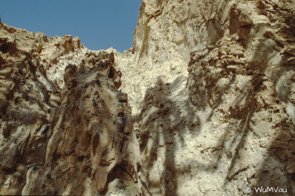 CyberViewX v5.16.55
Model Code=72
F/W Version=1.07